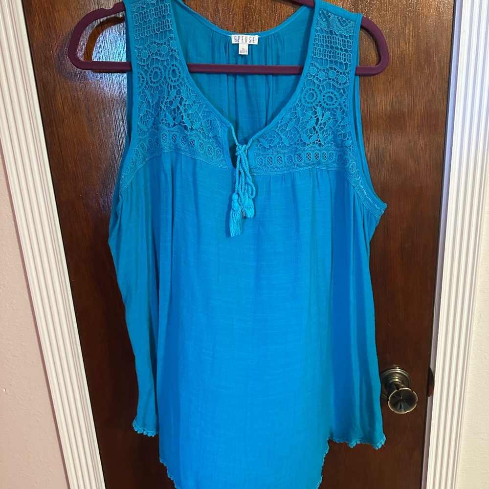Spense Turquoise Sleeveless Lace Blouse